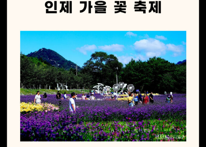인제 가을꽃축제 : 꽃길 따라 걷는 힐링 여행