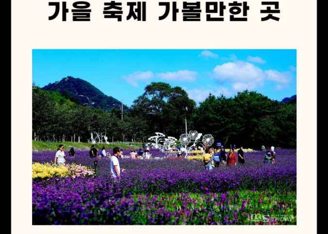 가을 축제 가볼만한 곳 베스트 추천 ✨