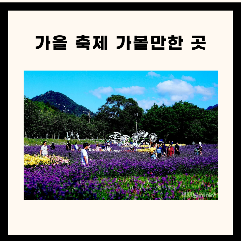 가을 축제 가볼만한 곳 베스트 추천 ✨