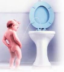 소변 색깔로 보는 건강 신호｜갈색 오줌, 탁한 소변, 주황·노랑 소변의 원인과 질환